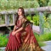 Banarasi Silke Checks Saree