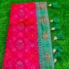 Patola Silk Saree